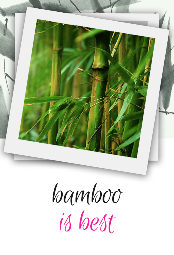 Bamboo-2